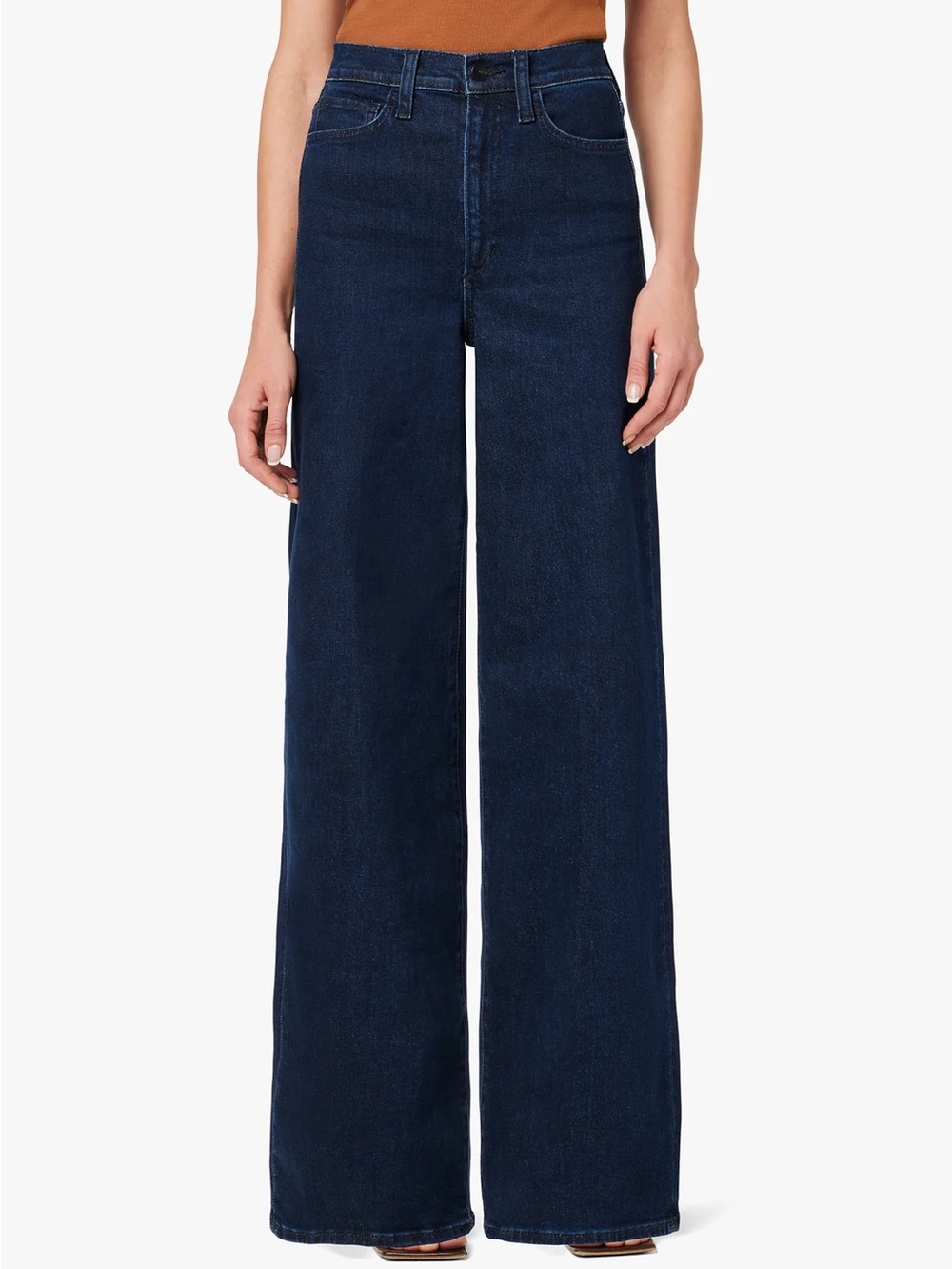 Joe’s Jeans THE MIA HIGH RISE WIDE LEG in Cinema Size 28